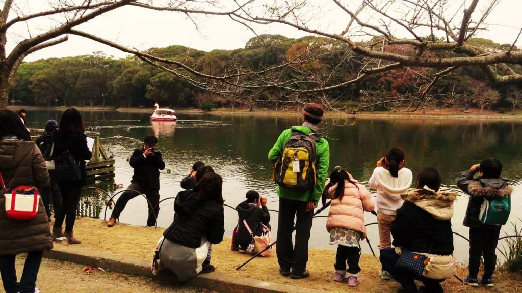 会について | 日本野鳥の会ひょうご