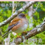 「日本野鳥の会ひょうごHP利用実態調査」ご協力のお願い